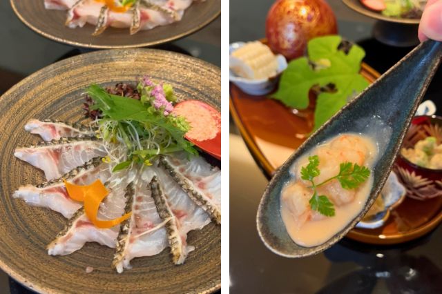 A Deep Look at Japanese Cuisine Beyond the Counter