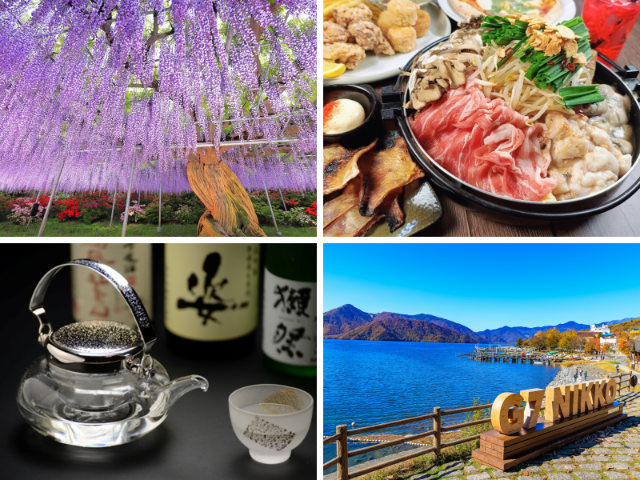 Explore Tochigi's Stunning Views and Gourmet Delights! A Travel Model Course Enjoying Nikko, Ashikaga Flower Park, and the Warehouse District