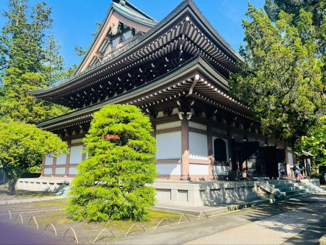 A Peaceful Day Trip from Tokyo: Discover the Hidden Charm of Kita-Kamakura