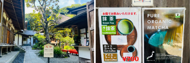 A Peaceful Day Trip from Tokyo: Discover the Hidden Charm of Kita-Kamakura