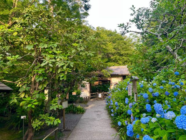 A Peaceful Day Trip from Tokyo: Discover the Hidden Charm of Kita-Kamakura