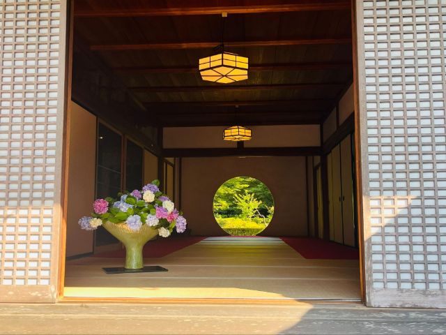 A Peaceful Day Trip from Tokyo: Discover the Hidden Charm of Kita-Kamakura