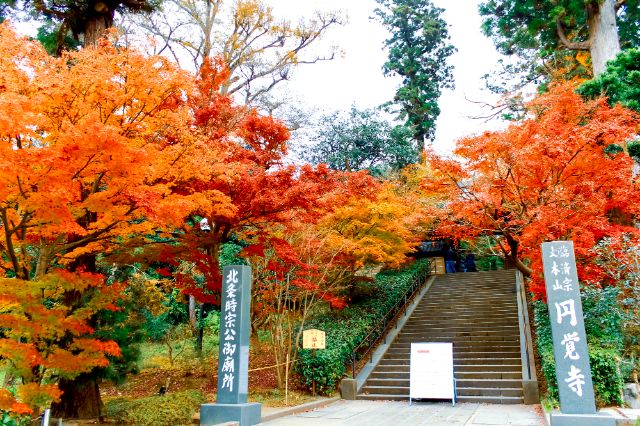 A Peaceful Day Trip from Tokyo: Discover the Hidden Charm of Kita-Kamakura
