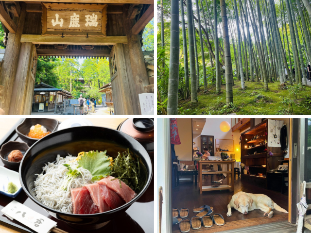 A Peaceful Day Trip from Tokyo: Discover the Hidden Charm of Kita-Kamakura