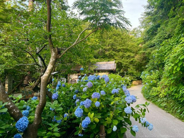 韓国語