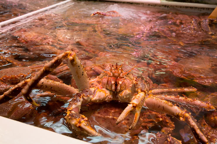 2.北之丼飯屋 滝波食堂（小樽 / 和食）