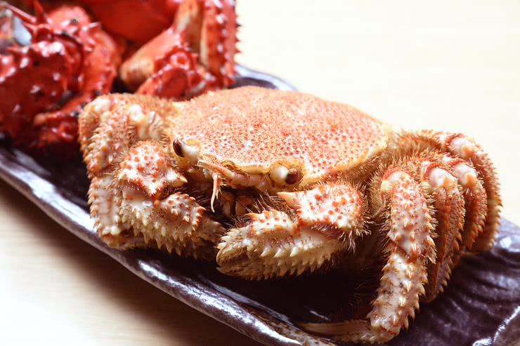 3.雙子山Shouji（札幌 / 和食）