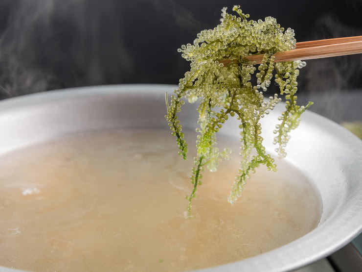 Essential Japanese Cuisine! 50 Shabu-shabu and Sukiyaki Restaurants (2)