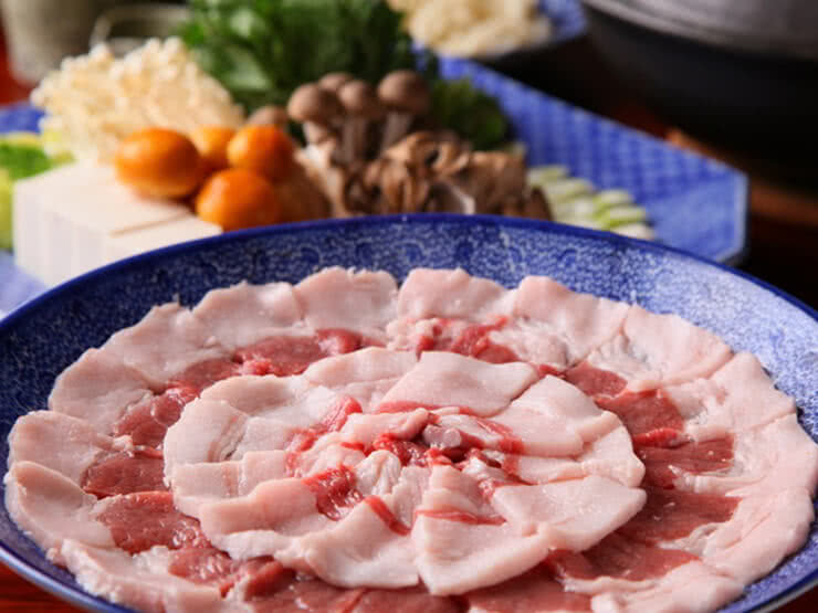 The Best Restaurants for Local Cuisine in Hida Takayama