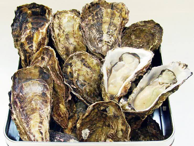 2.牡蠣小屋袋町　海平商店