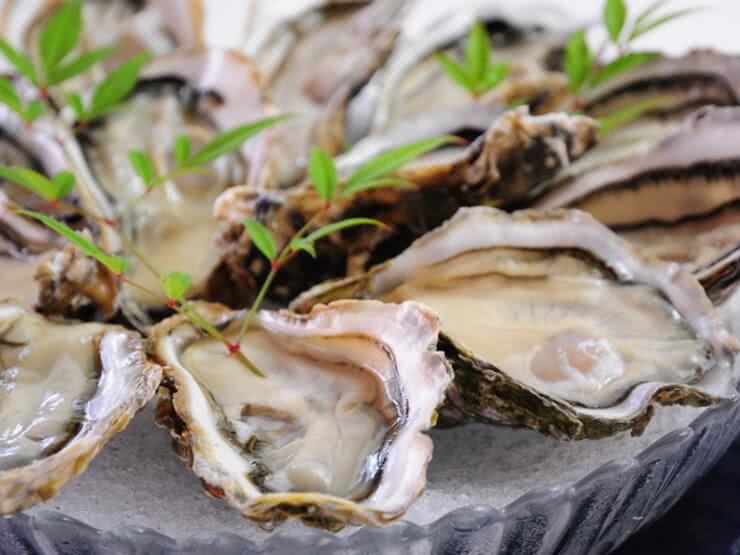 提供廣島名產「牡蠣」的嚴選名店