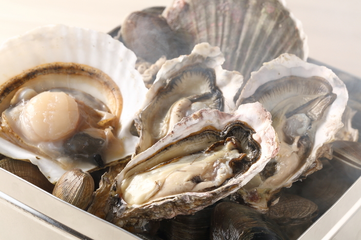 精選能在北海道暢飲美味日本酒的15間餐廳