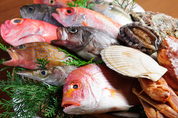 神戶周邊14間能享用壽司與生魚片等海鮮料理的日式餐廳