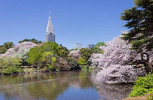 3. 在新宿御苑野餐