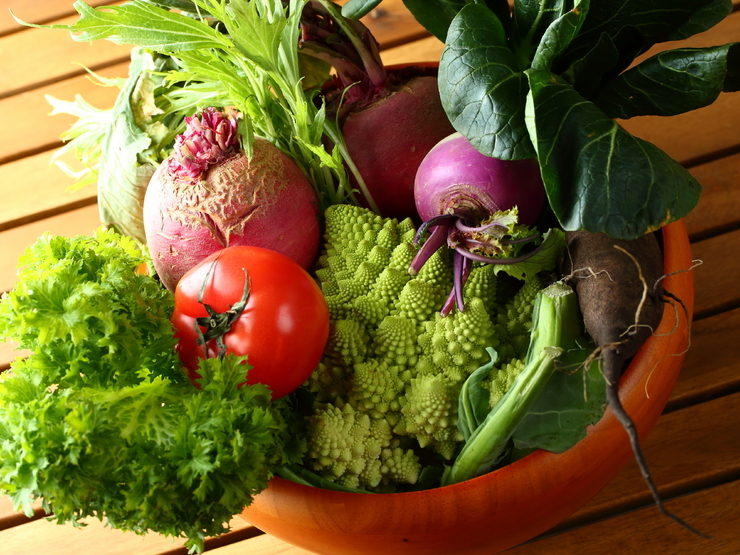 3.APRON The DINER（神田 / 西式料理）