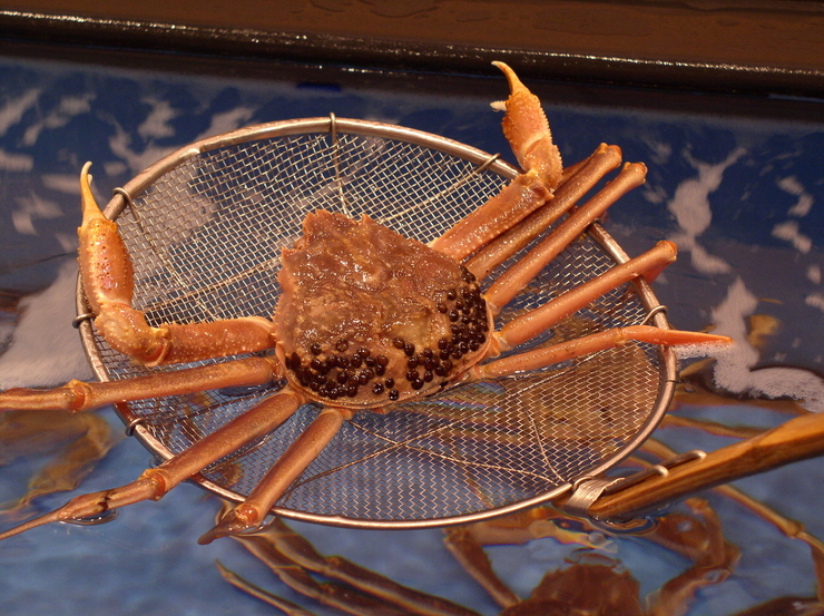 6.螃蟹喰亭MASUYONE(福井・敦賀)