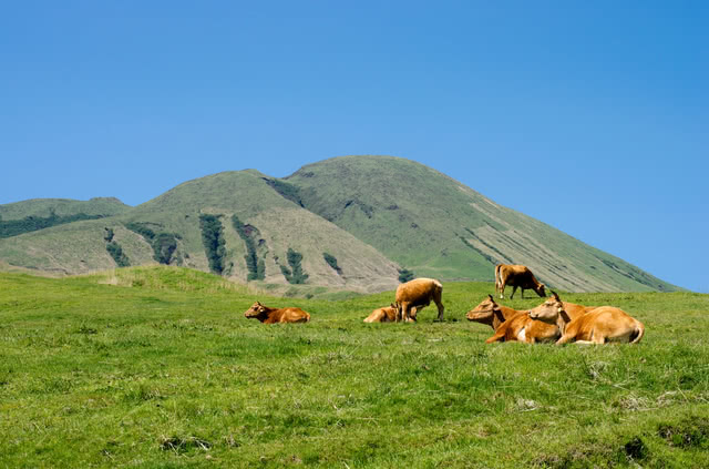 不只有熊本拉麵!好吃又好玩的熊本魅力