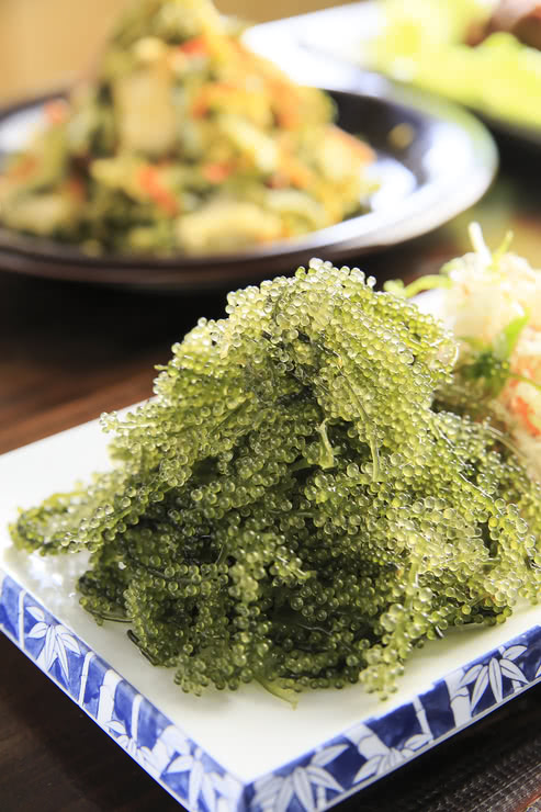 Min-yo Izakaya Kanasando (Motobu / Izakaya)