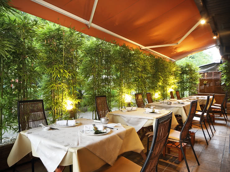 [2019 Edition] The Best Spots and Restaurants in Japan for Viewing Cherry Blossoms