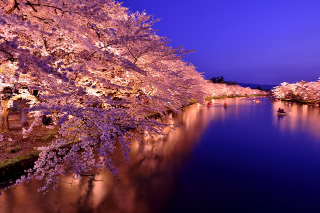 5. Hirosaki Park (Aomori)