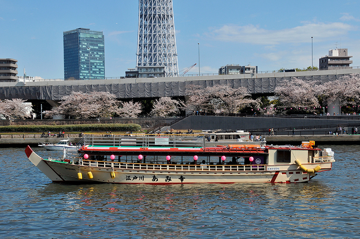 The 8 Best Tokyo Restaurants for Cherry Blossom Viewing