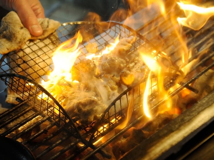 坐torijirou（德島 / 居酒屋料理）