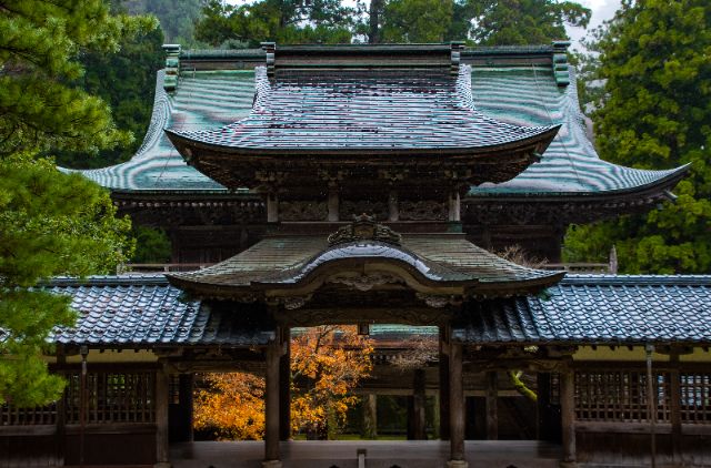 Discover the Ingredients of Wellness in Fukui