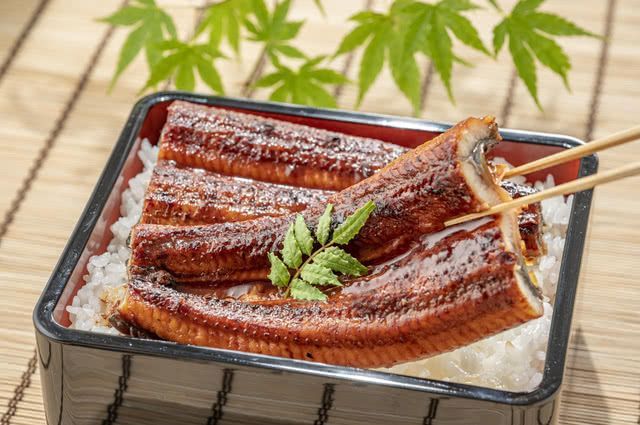 Savor Unagi Eels on the Midsummer Day of the Ox!