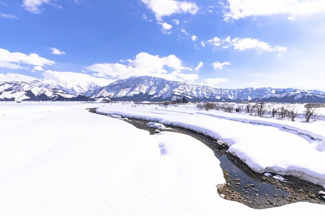 Niigata's Culinary Delights: Exploring Japan's 4th Most Delicious Prefecture!
